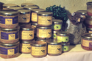 Rillettes de canard à tartiner sur toasts